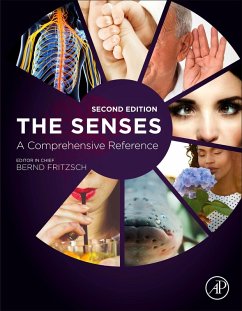 The Senses: A Comprehensive Reference (eBook, PDF)