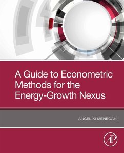 Cover A Guide to Econometric Methods for the Energy-Growth Nexus (eBook, ePUB)