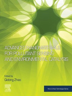 Cover Advanced Nanomaterials for Pollutant Sensing and Environmental Catalysis (eBook, ePUB)