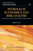 Petroleum Economics and Risk Analysis (eBook, ePUB)