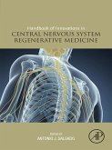 Handbook of Innovations in Central Nervous System Regenerative Medicine (eBook, ePUB)