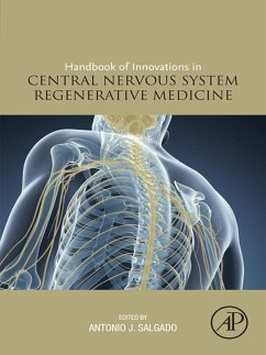 Cover Handbook of Innovations in Central Nervous System Regenerative Medicine (eBook, ePUB)
