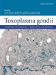 Toxoplasma Gondii (eBook, ePUB) - Bild 1