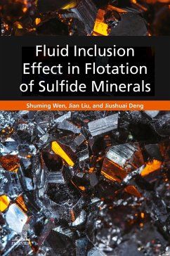 Fluid Inclusion Effect in Flotation of Sulfide Minerals (eBook, ePUB) - Wen, Shuming; Liu, Jian; Deng, Jiushuai
