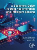 A Beginner's Guide to Data Agglomeration and Intelligent Sensing (eBook, ePUB)