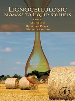 Lignocellulosic Biomass to Liquid Biofuels (eBook, ePUB) - Yousuf, Abu; Sannino, Filomena; Pirozzi, Domenico