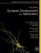 Synapse Development and Maturation... - Bild 1