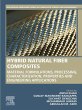 Hybrid Natural Fiber Composites (eBook,... - Bild 1