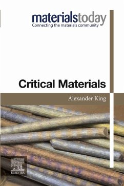 Critical Materials (eBook, ePUB) - King, Alexander