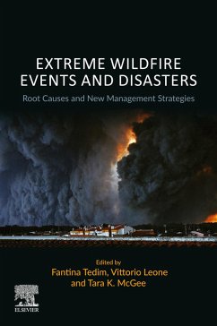 Cover Extreme Wildfire Events and Disasters (eBook, ePUB)