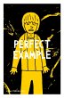 Perfect Example (eBook, PDF) - Bild 1