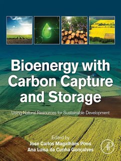 Bioenergy with Carbon Capture and Storage (eBook, ePUB)