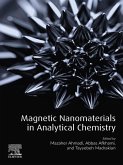 Magnetic Nanomaterials in Analytical Chemistry (eBook, PDF)