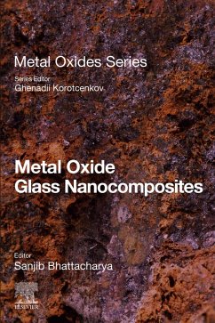 Cover Metal Oxide Glass Nanocomposites (eBook, ePUB)