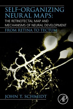 Self-organizing Neural Maps: The Retinotectal Map and Mechanisms of Neural Development (eBook, ePUB) - Schmidt, John T.
