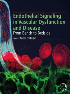 Cover Endothelial Signaling in Vascular Dysfunction and Disease (eBook, ePUB)
