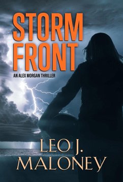 Storm Front (eBook, ePUB) - Maloney, Leo J.