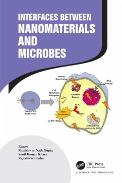 Cover Interfaces Between Nanomaterials and Microbes (eBook, PDF)