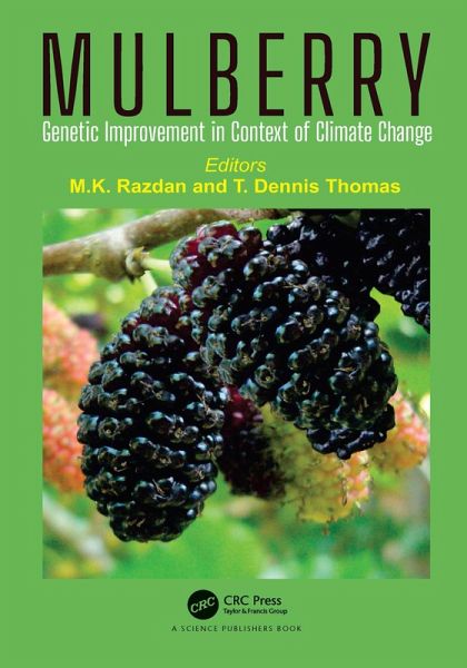 Mulberry (eBook, ePUB) Mulberry (eBook, ePUB)