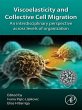 Viscoelasticity and Collective Cell... - Bild 1