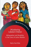 (M)othering Labeled Children (eBook, ePUB)