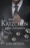 Ein Kätzchen zum Zähmen