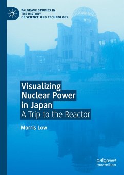 Visualizing Nuclear Power in Japan - Low, Morris