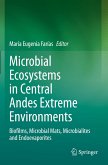 Microbial Ecosystems in Central Andes Extreme Environments