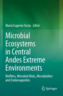 Microbial Ecosystems in Central Andes Extreme Environments