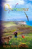 Opalescence: The Middle Miocene Play of Color (eBook, ePUB)