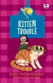Kitten Trouble (Hook Books)