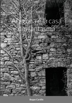 Aragona e la casa del fantasma - Cardile, Beppe