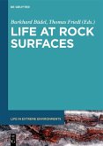 Life at Rock Surfaces (eBook, ePUB)
