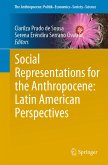 Social Representations for the Anthropocene: Latin American Perspectives (eBook, PDF)