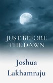 Just Before The Dawn (eBook, ePUB)
