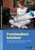 Praxishandbuch Schulhund (eBook, PDF)