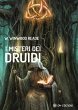 I misteri dei Druidi (eBook, ePUB) - Bild 1