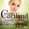 A Caminho da Felicidade (A Eterna... - Bild 1