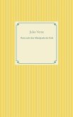 Reise nach dem Mittelpunkt der Erde (eBook, ePUB)