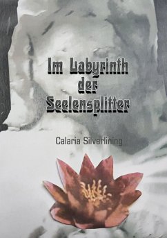 Im Labyrinth der Seelensplitter - Silverlining, Carlaria