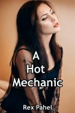 A Hot Mechanic (eBook, ePUB)