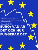 EURO: Vad är det och hur fungerar det (eBook, ePUB)