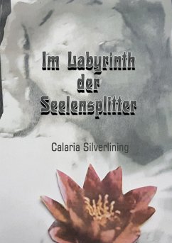 Im Labyrinth der Seelensplitter - Silverlining, Carlaria