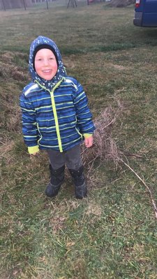 HEIMAT (eBook, ePUB) - Lübke, Andreas