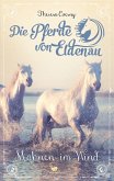 Mähnen im Wind / Die Pferde von Eldenau Bd.1