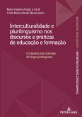 Interculturalidade e plurilinguismo nos discursos e práticas de educação e formação (eBook, ePUB)