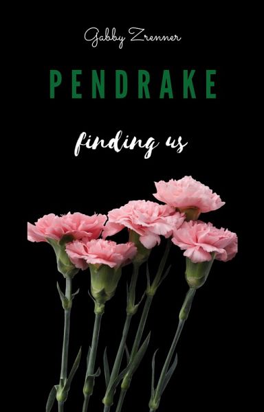 Pendrake 3- finding us (eBook, ePUB) Pendrake 3- finding us (eBook, ePUB)
