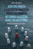 Ação civil pública e o desafio do Ministério Público do Trabalho no combate ao assédio moral organizacional (eBook, ePUB)