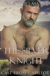 The Silver Knight - Bild 1