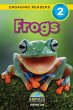 Frogs - Bild 1